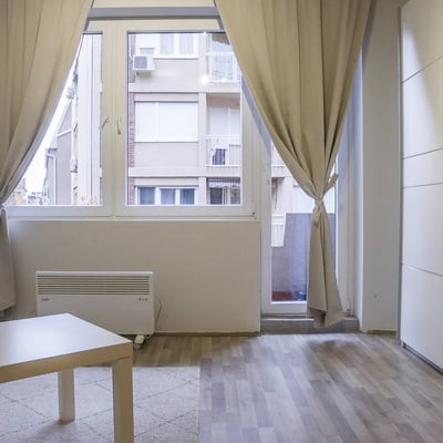 Long-term rental of a cozy 2-room apartment, 60 m², Vračar district, Belgrade, Serbia